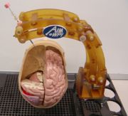 MRI Robot for Neurosurgery